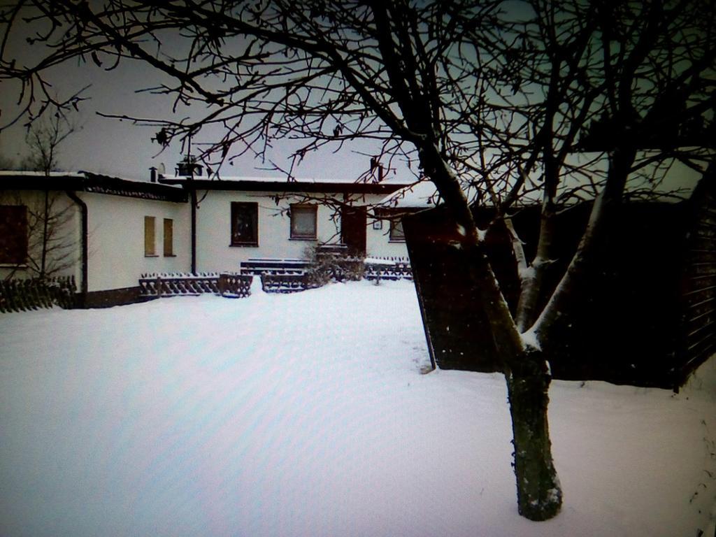 Villa Haus Panoramablick Medebach Esterno foto