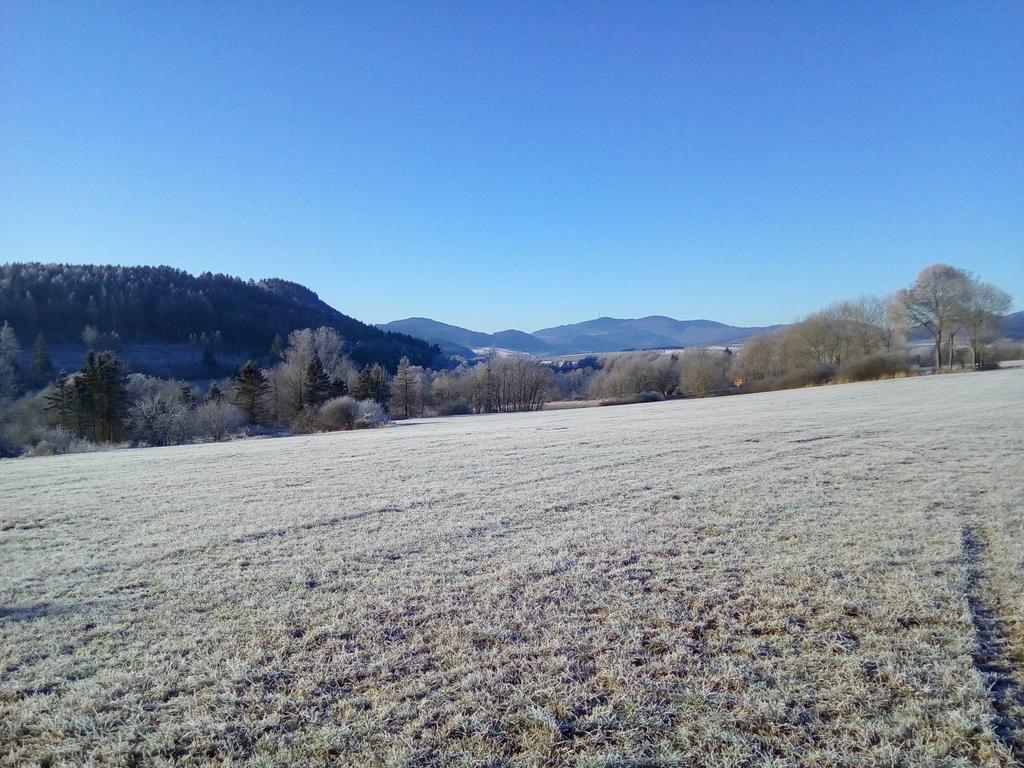 Villa Haus Panoramablick Medebach Esterno foto